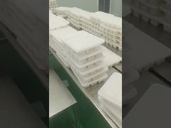 Frozen Food Flow Packing Machine